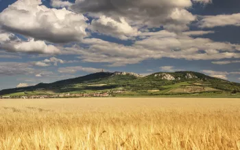Rezerwat Biosfery Dolní Morava