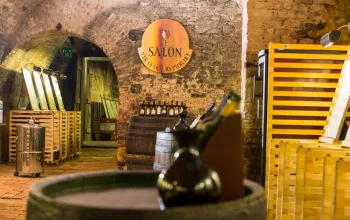 Salon Win, pałac Valtice