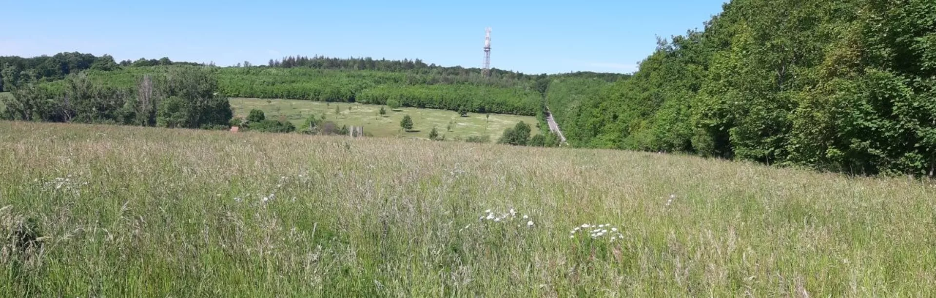 Wieża widokowa Travičná w Tvarožnej Lhocie