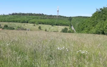 Wieża widokowa Travičná w Tvarožnej Lhocie