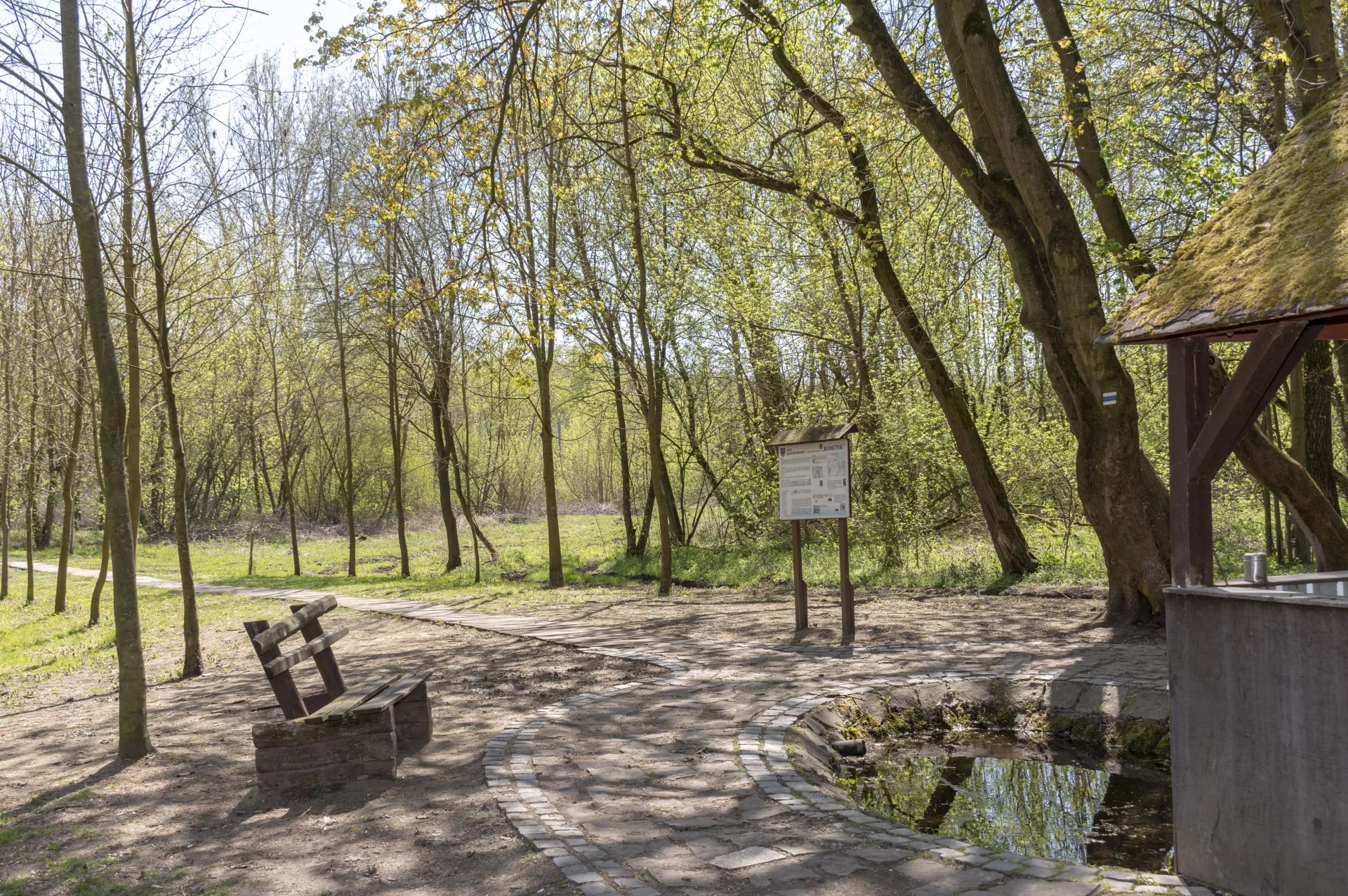 Przez płaskie tereny Hodoníńskiej Dąbrowy